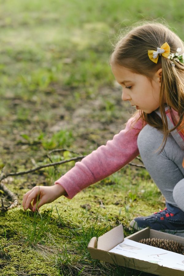 Nature education. Fun kids activity outdoors